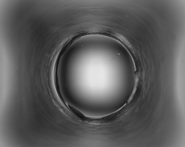 X0000086230485200704051200