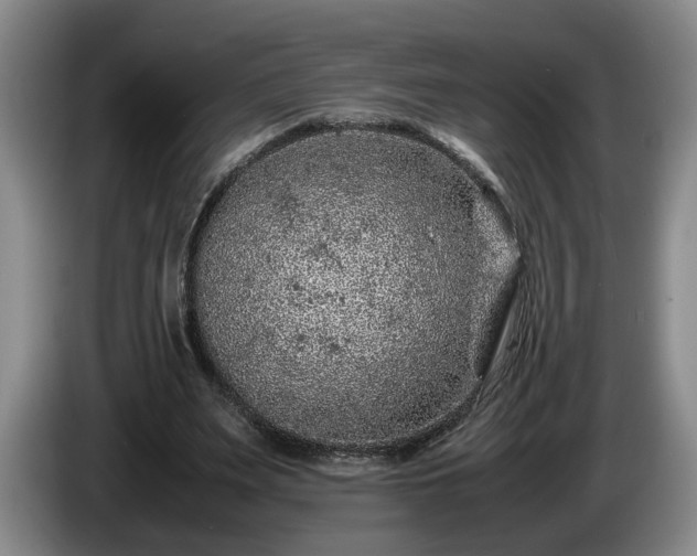 X0000086230487200704051200