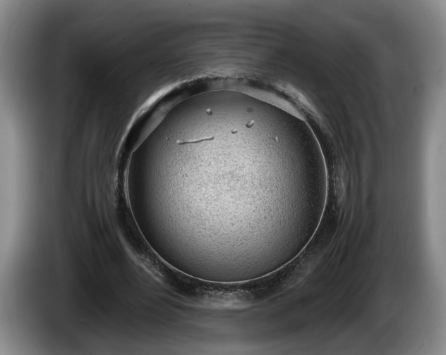 X0000086230488200704051200