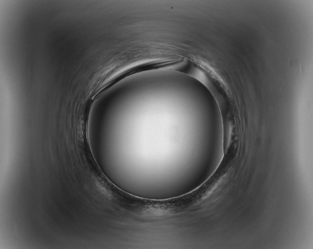 X0000086230489200704051200