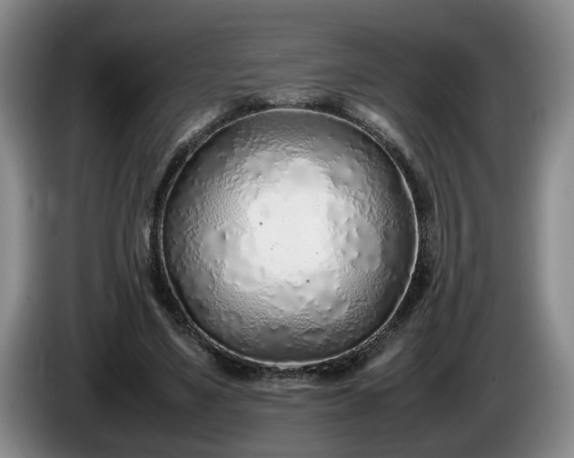 X0000086230491200704051159