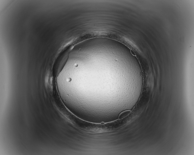 X0000086230494200704051159