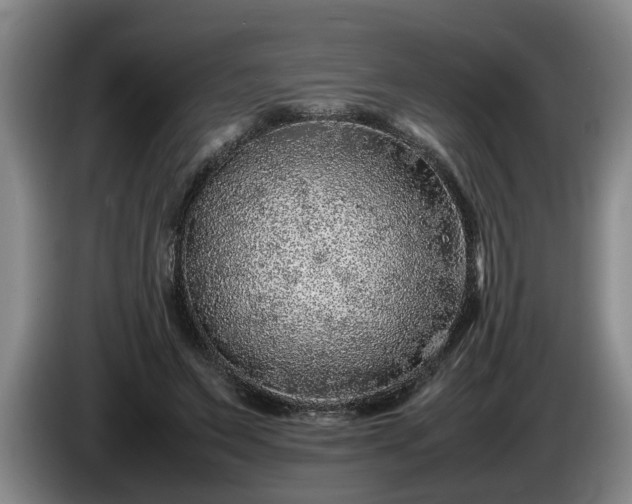 X0000086230495200704051159