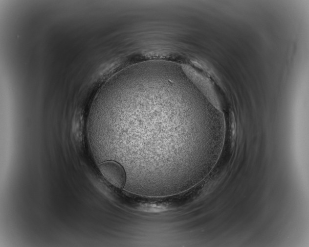 X0000086230498200704051159