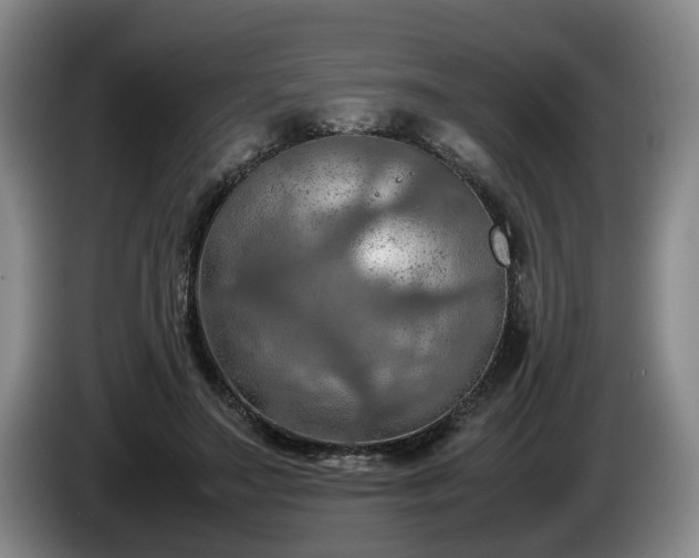 X0000086230499200704051159