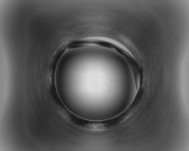 X0000086230501200704051159