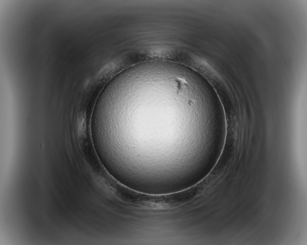 X0000086230502200704051159