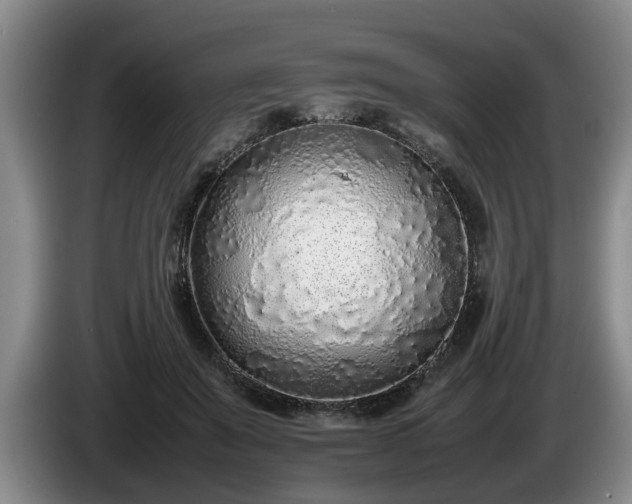 X0000086230503200704051159