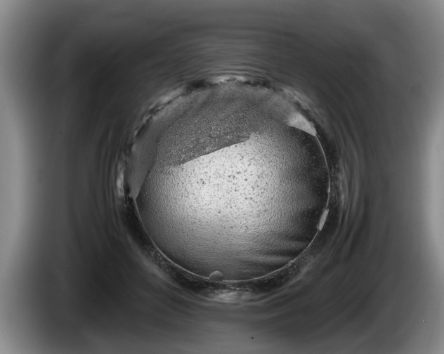 X0000086230504200704051159