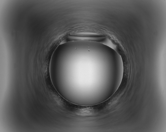 X0000086230505200704051159