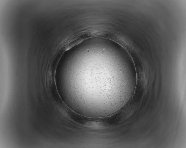 X0000086230506200704051159