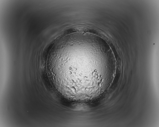 X0000086230507200704051159