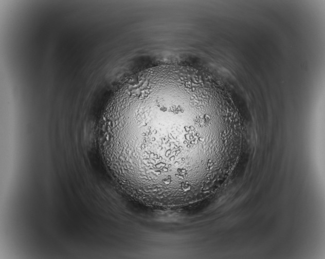 X0000086230511200704051159