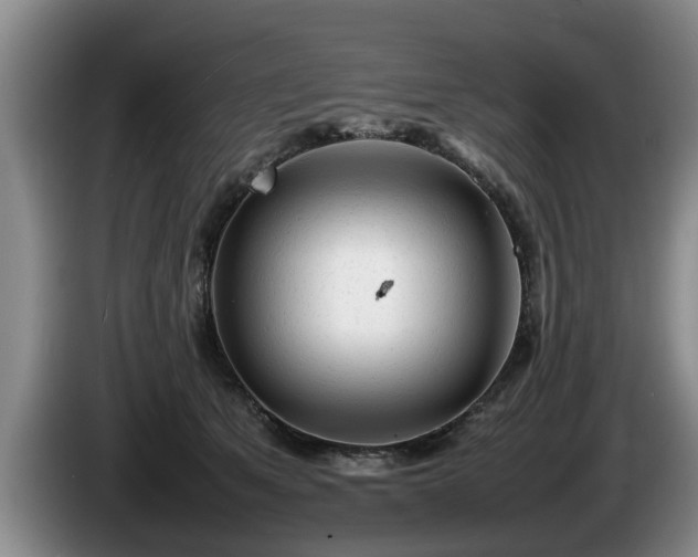 X0000086230513200704051159