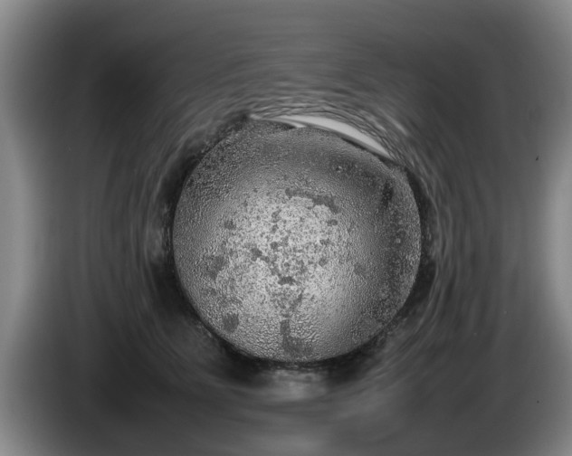 X0000086230515200704051159