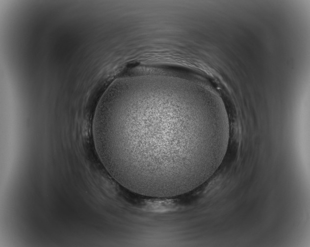 X0000086230517200704051159