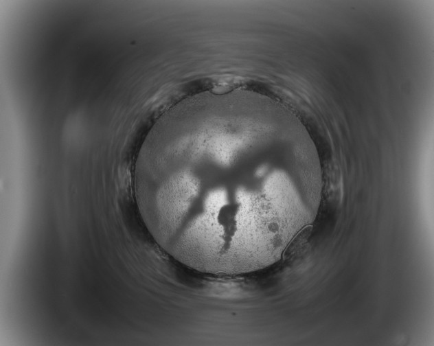 X0000086230523200704051159