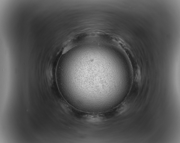 X0000086230524200704051159