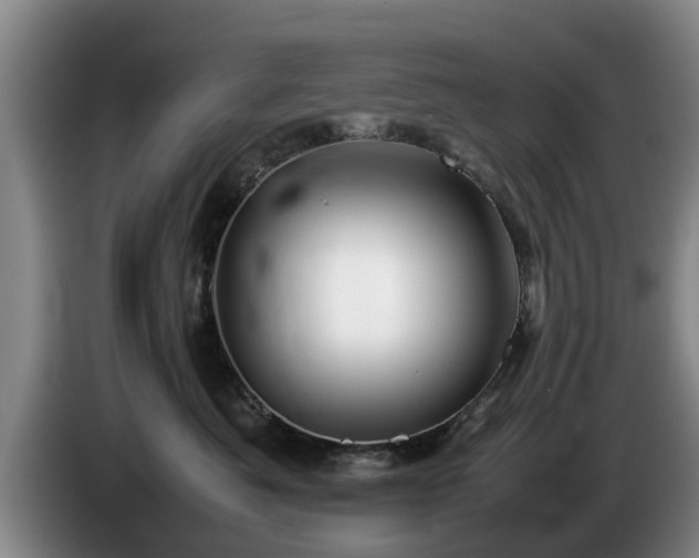 X0000086230525200704051159