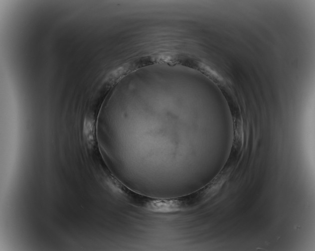 X0000086230526200704051159