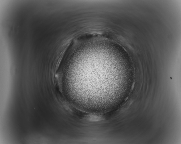 X0000086230528200704051159