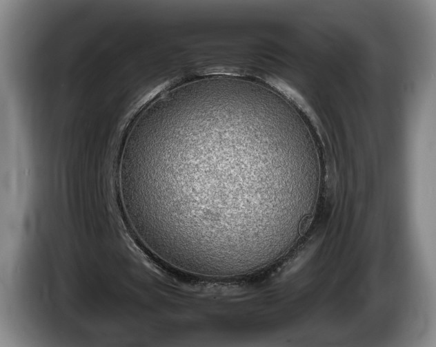 X0000086230529200704051158