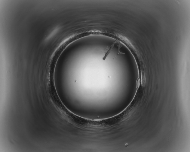 X0000086230531200704051158