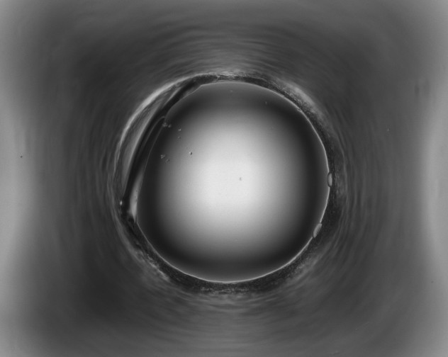 X0000086230532200704051158