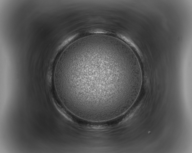 X0000086230533200704051158