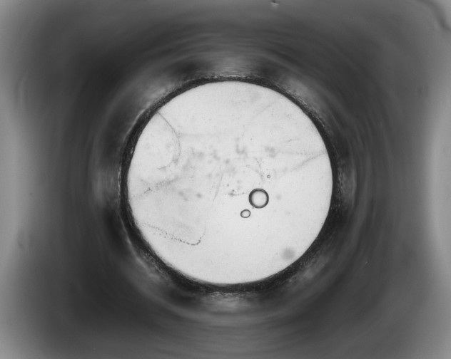 X0000086230534200704051158