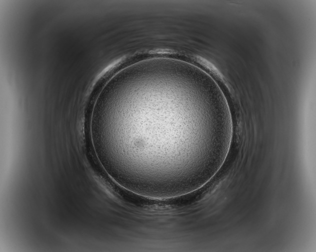 X0000086230535200704051158