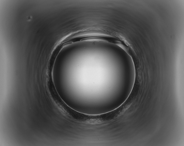 X0000086230536200704051158