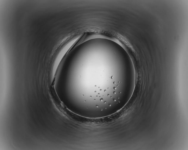 X0000086230538200704051158