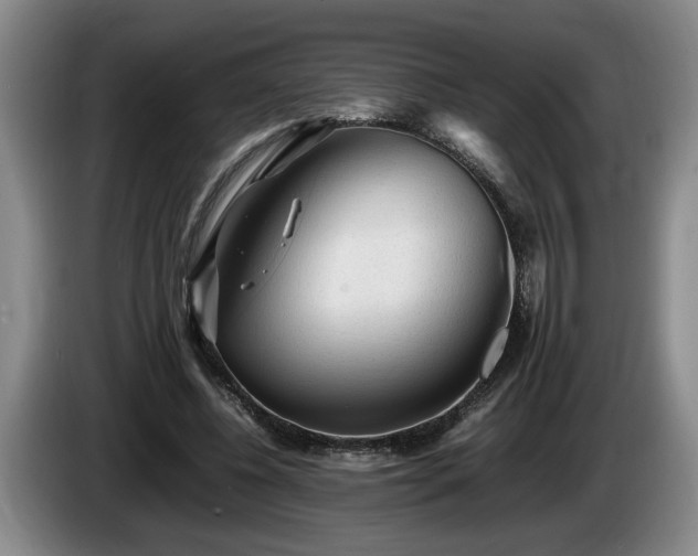 X0000086230540200704051158