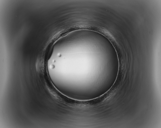 X0000086230542200704051158