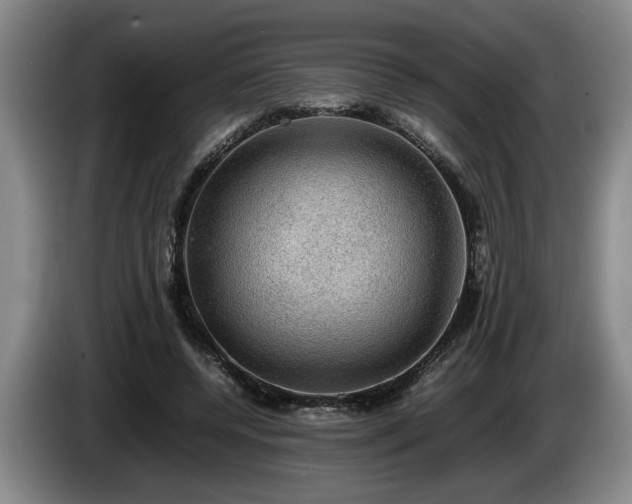 X0000086230544200704051158