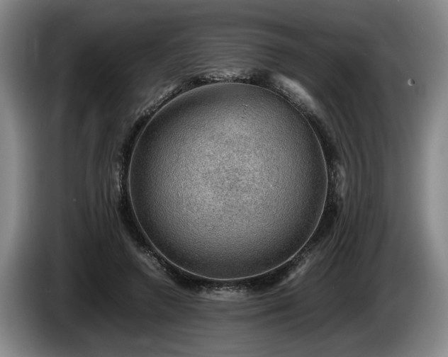 X0000086230546200704051158