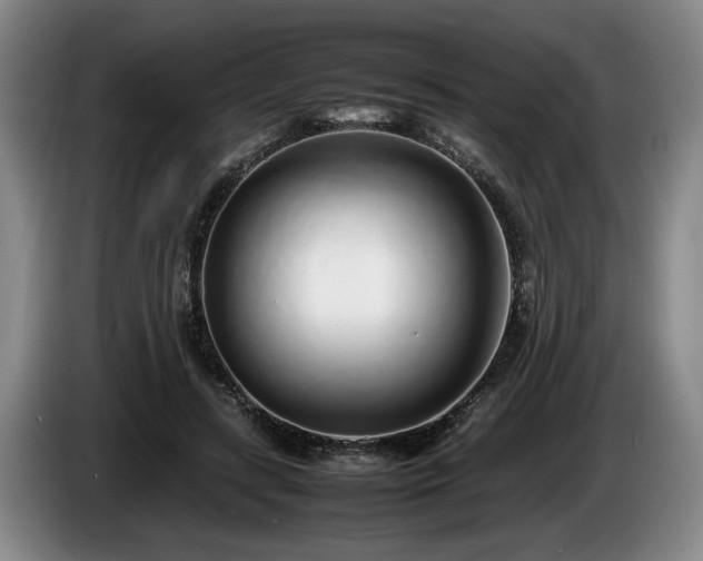 X0000086230547200704051158