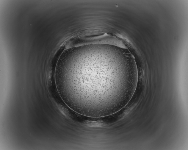 X0000086230548200704051158