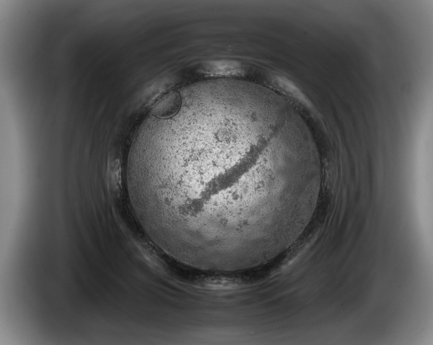 X0000086230549200704051158