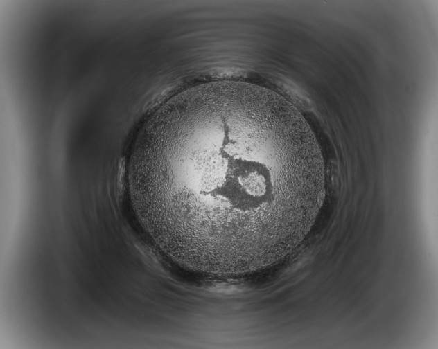 X0000086230550200704051158