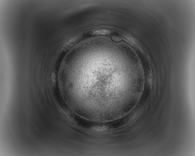 X0000086230551200704051158