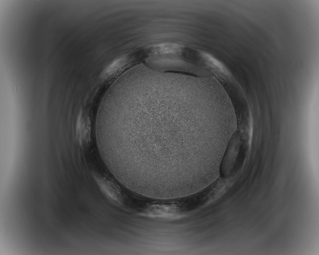 X0000086230552200704051158