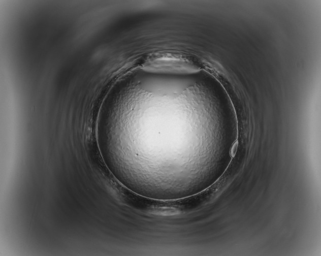 X0000086230553200704051158