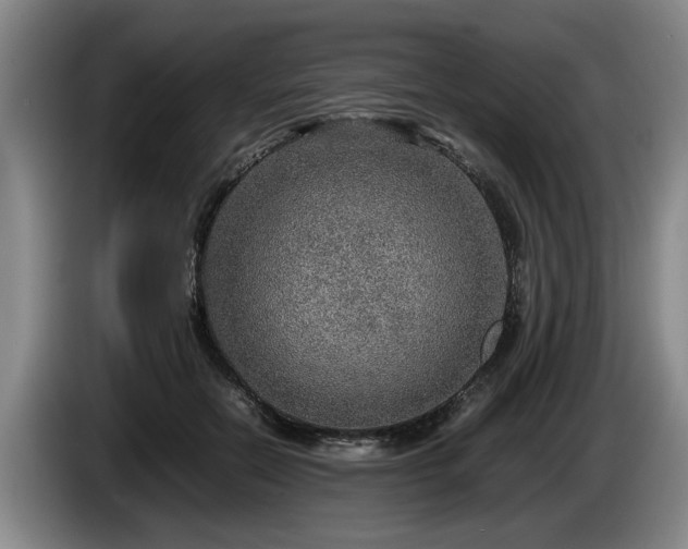 X0000086230554200704051158