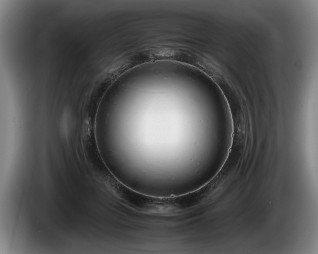 X0000086230555200704051159