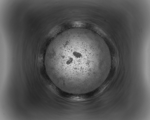 X0000086230557200704051159