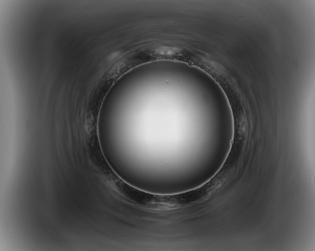 X0000086230559200704051159