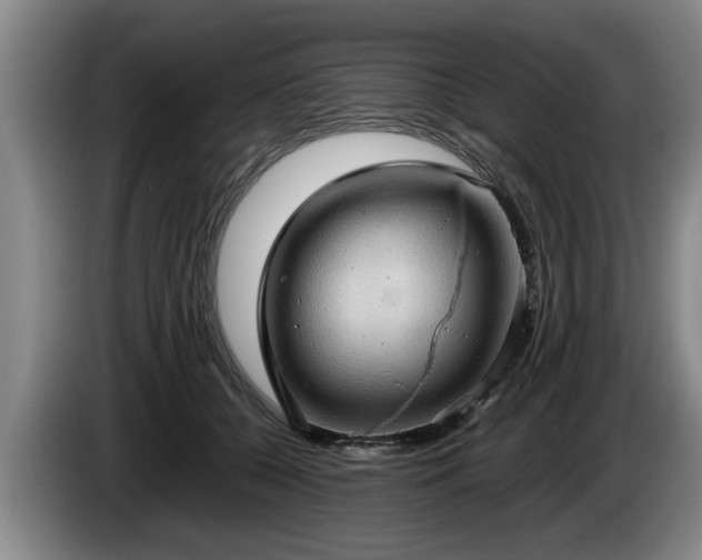 X0000086230560200704051159