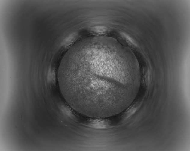 X0000086230562200704051159